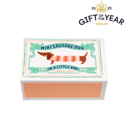 Mini sausage dog in a little box - Sausage Dog soft toy